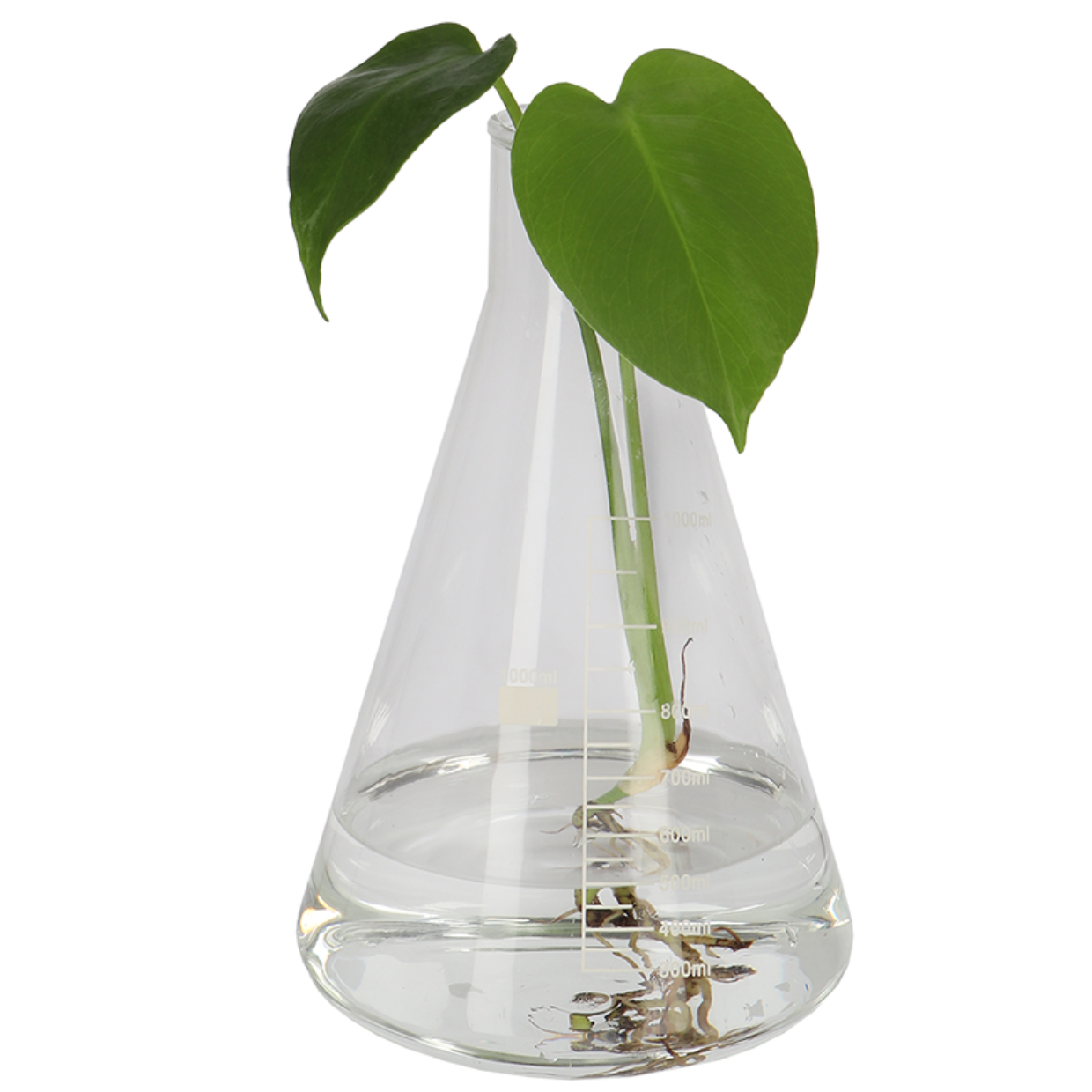 Esschert Design Erlenmeyer S