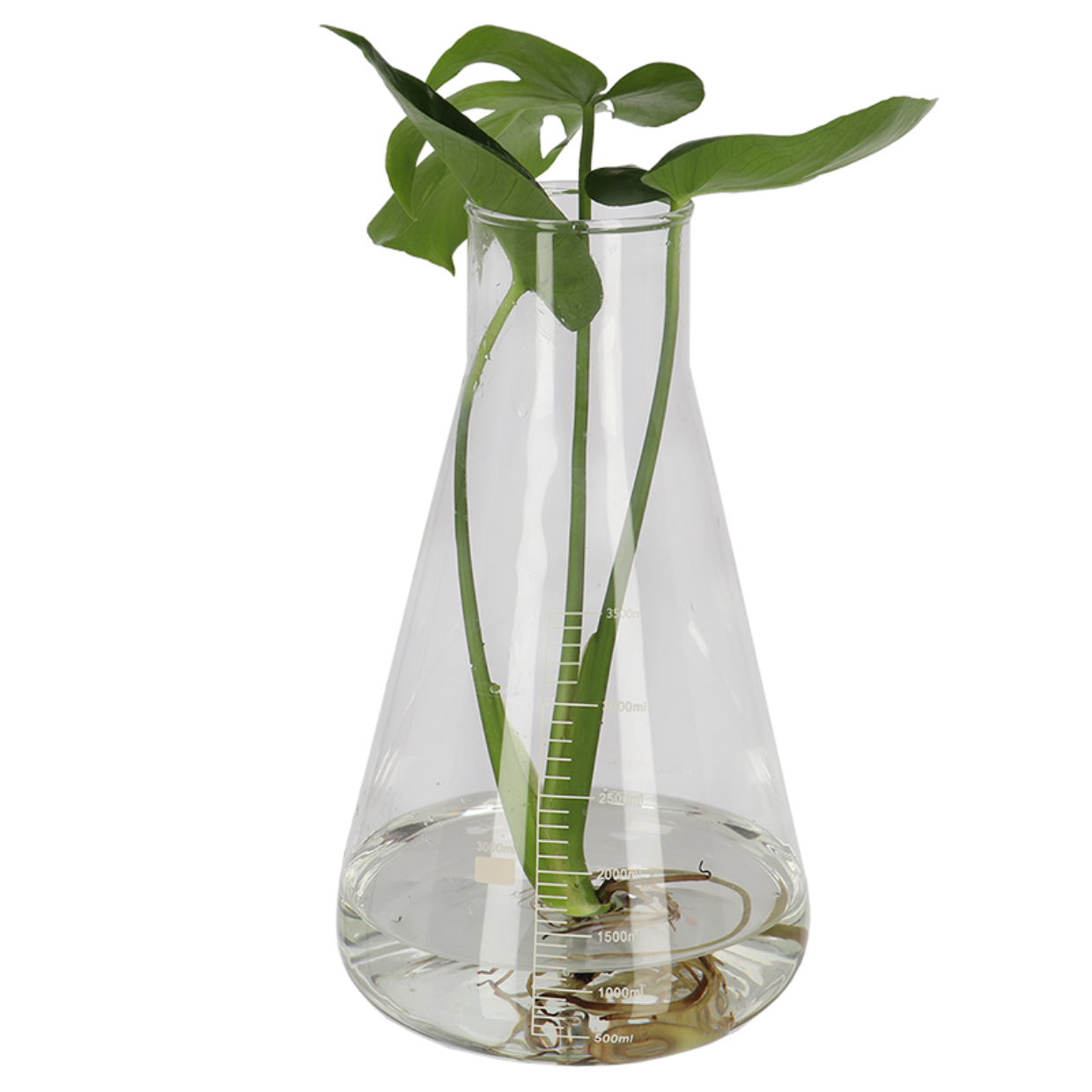 Esschert Design Erlenmeyer XXL