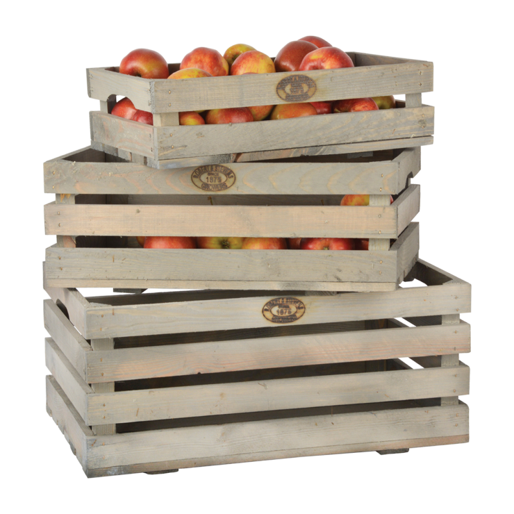 Esschert Design Fruitkrat Set Van 3