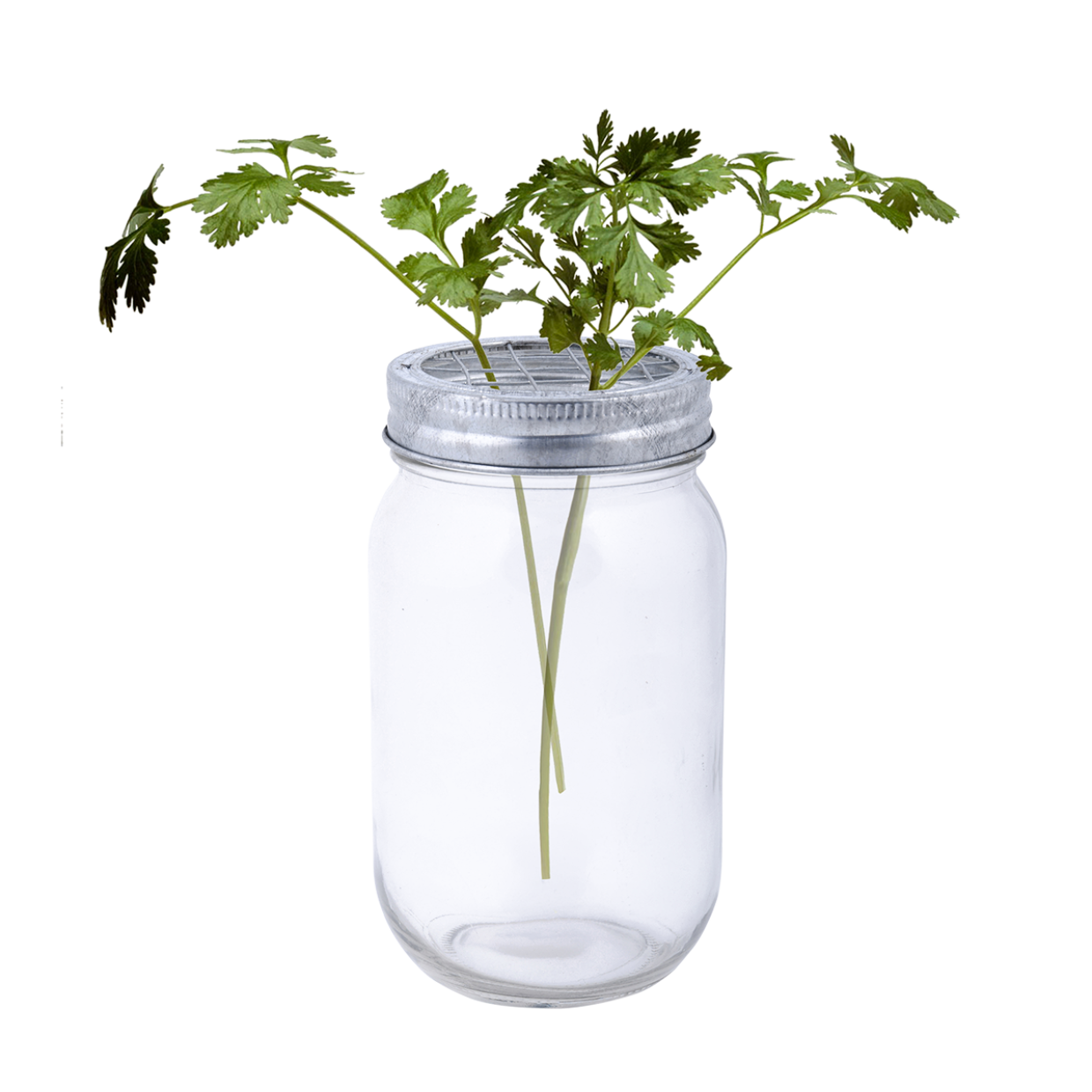 Esschert Design Glazen Bloemenvaas Met Schikdeksel