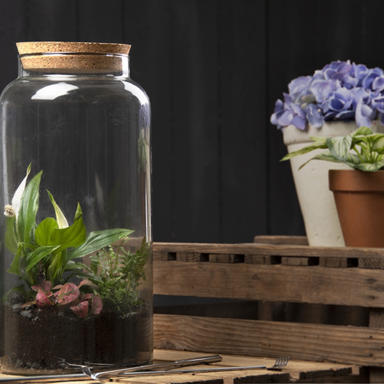 Esschert Design Half Open Terrrarium Fles L