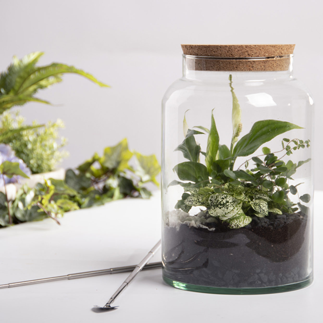 Esschert Design Half Open Terrrarium Fles M