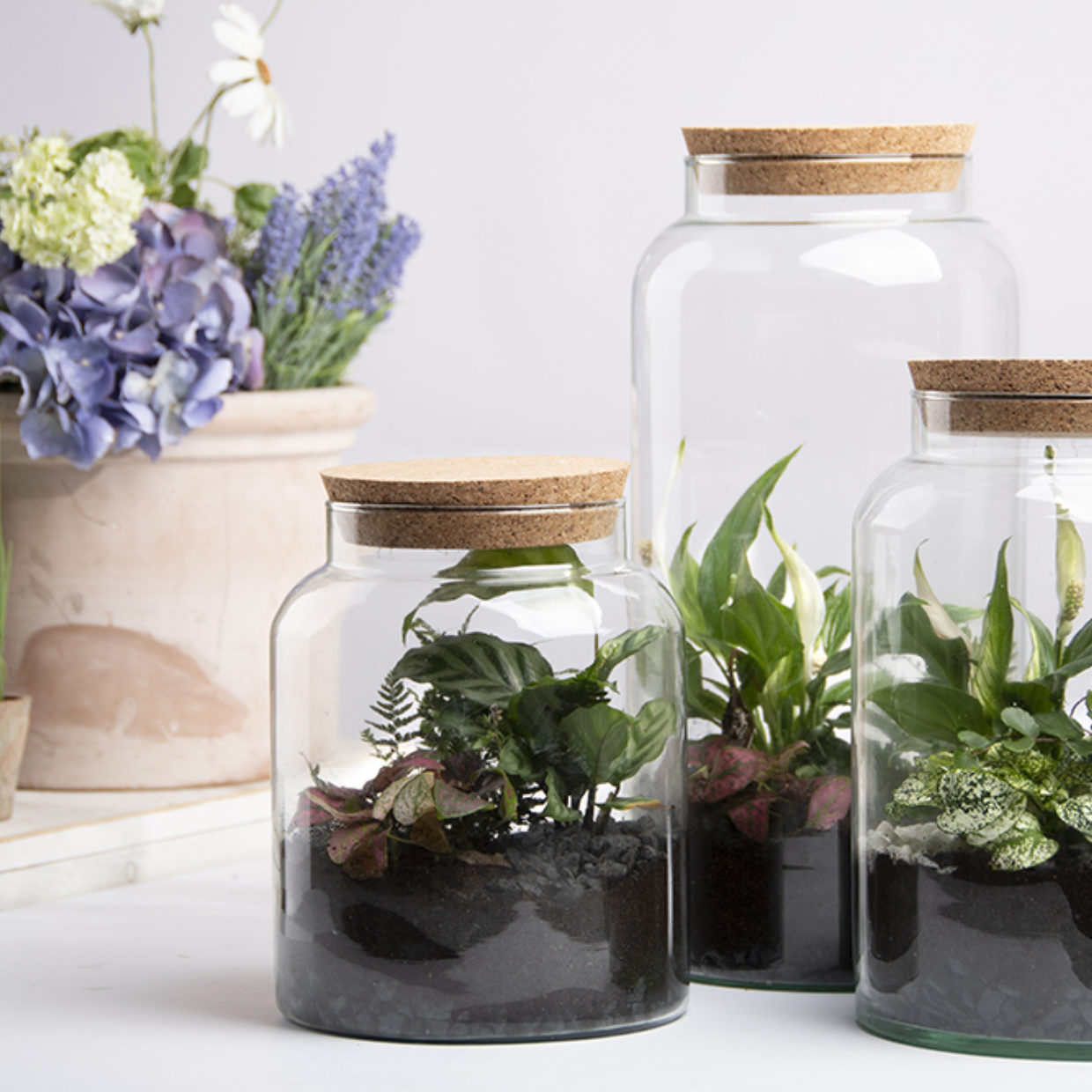 Esschert Design Half Open Terrrarium Fles M