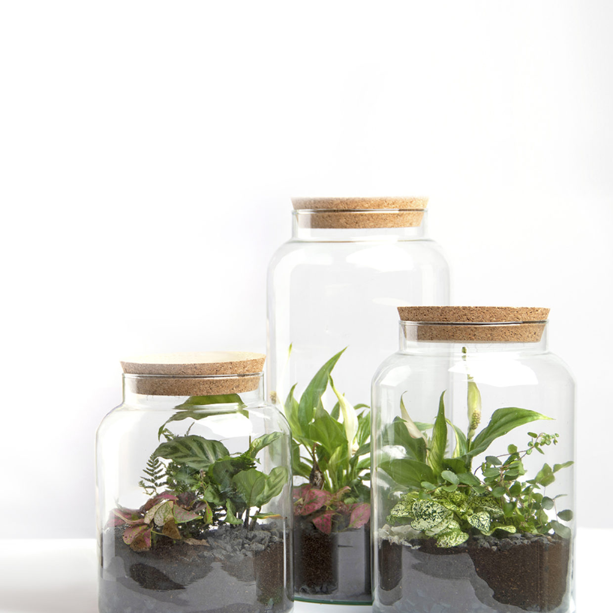Esschert Design Half Open Terrrarium Fles S