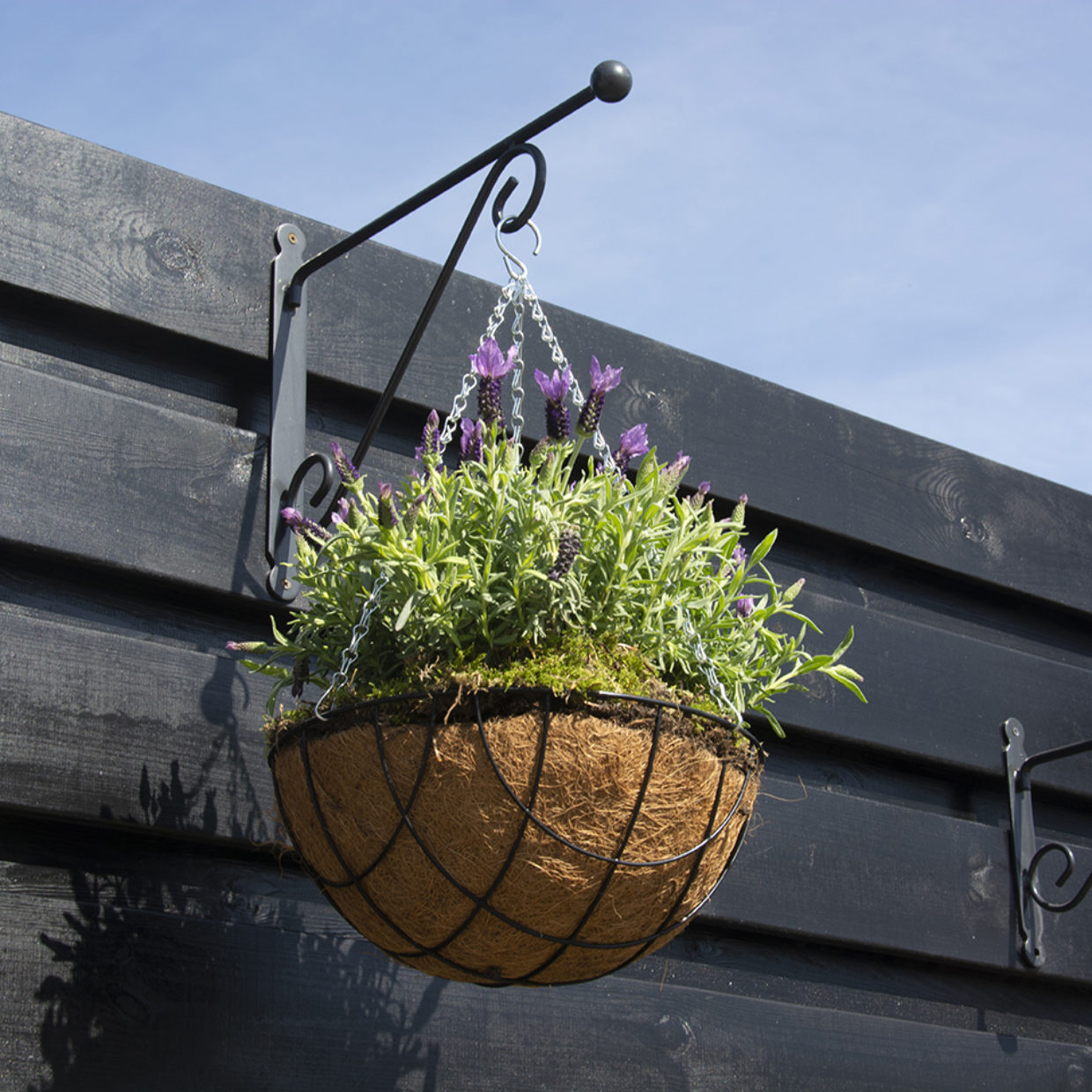 Esschert Design Hanging Basket Haak Met Bol L