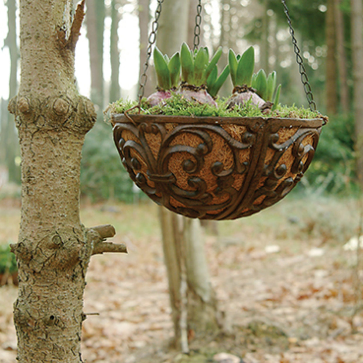 Esschert Design Hanging Basket Haak S