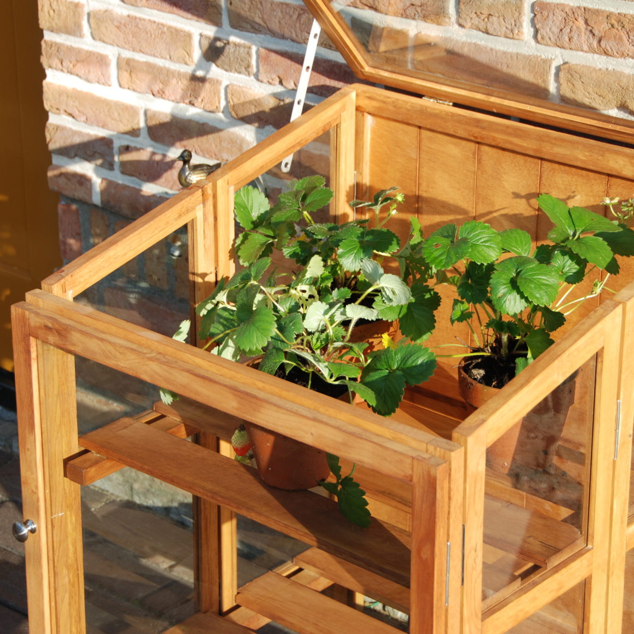 Esschert Design Hardhouten Kweekkas Klein