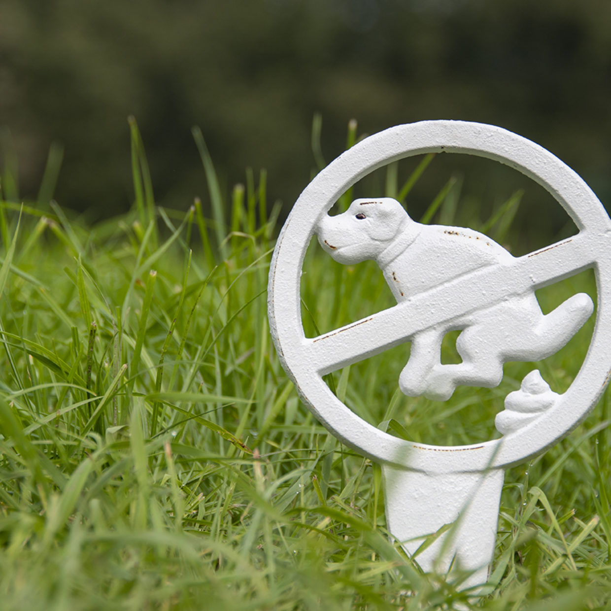 Esschert Design Hondenbordje Niet Poepen Wit