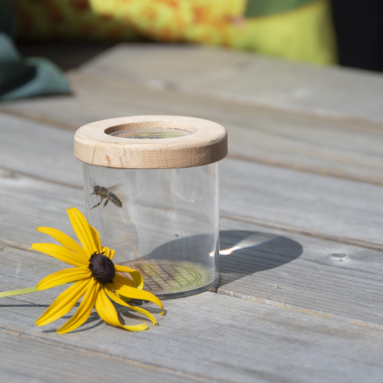 Esschert Design Houten Studeerbox