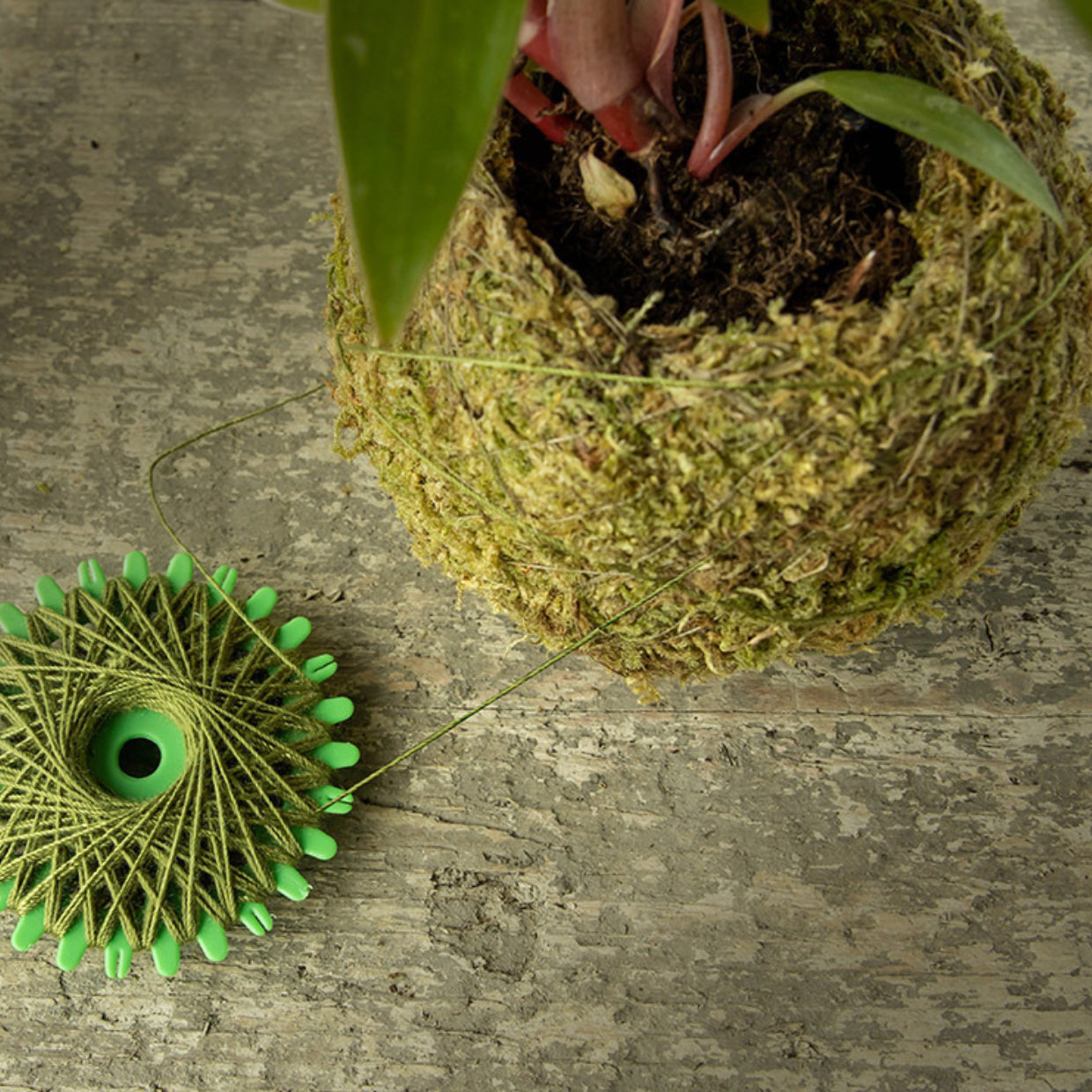 Esschert Design Kokedama Bindtouw