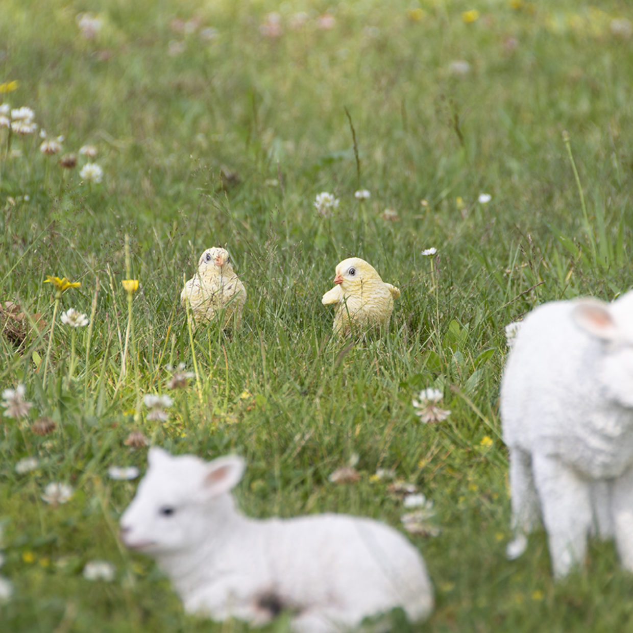 Esschert Design Kuiken