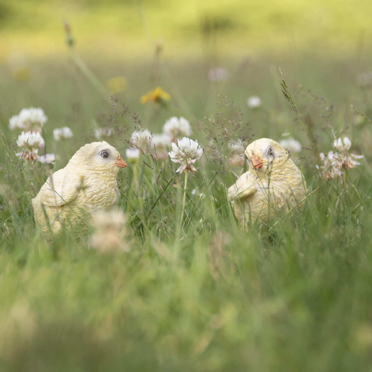 Esschert Design Kuiken