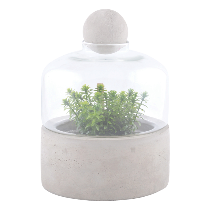 esschert design Kweekfles met betonschaal S