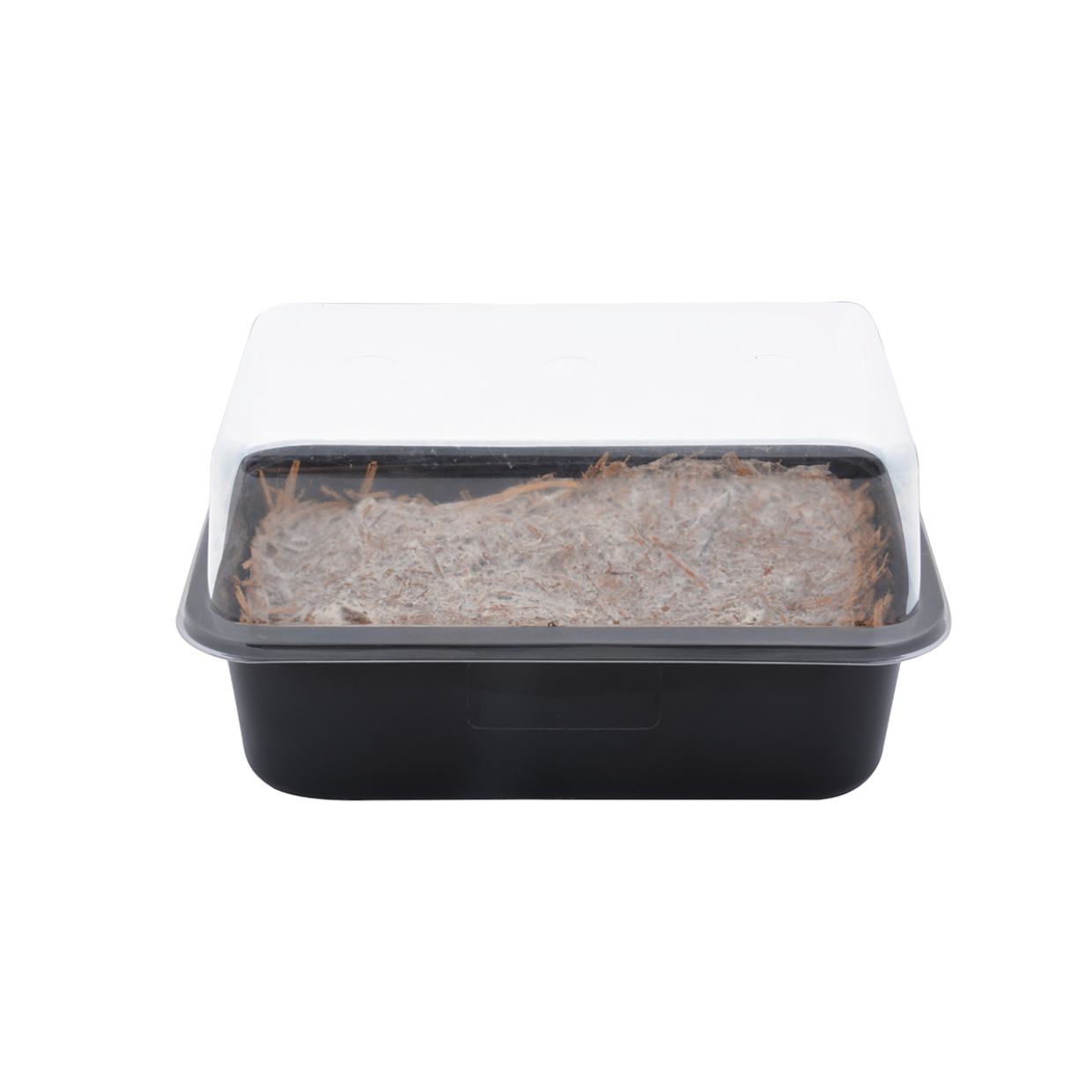 Esschert Design Kweekset Champignon