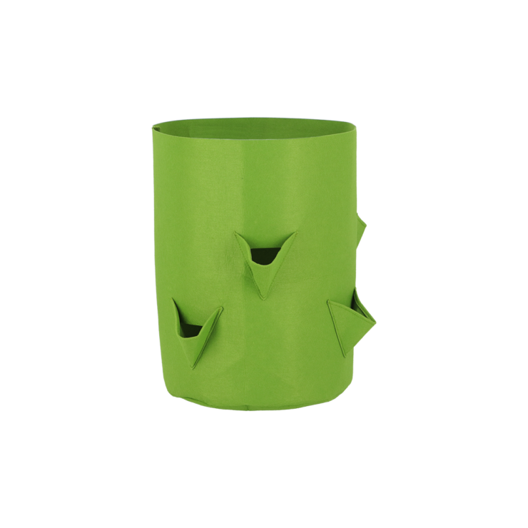 esschert design Kweektas aardbeien/ kruiden