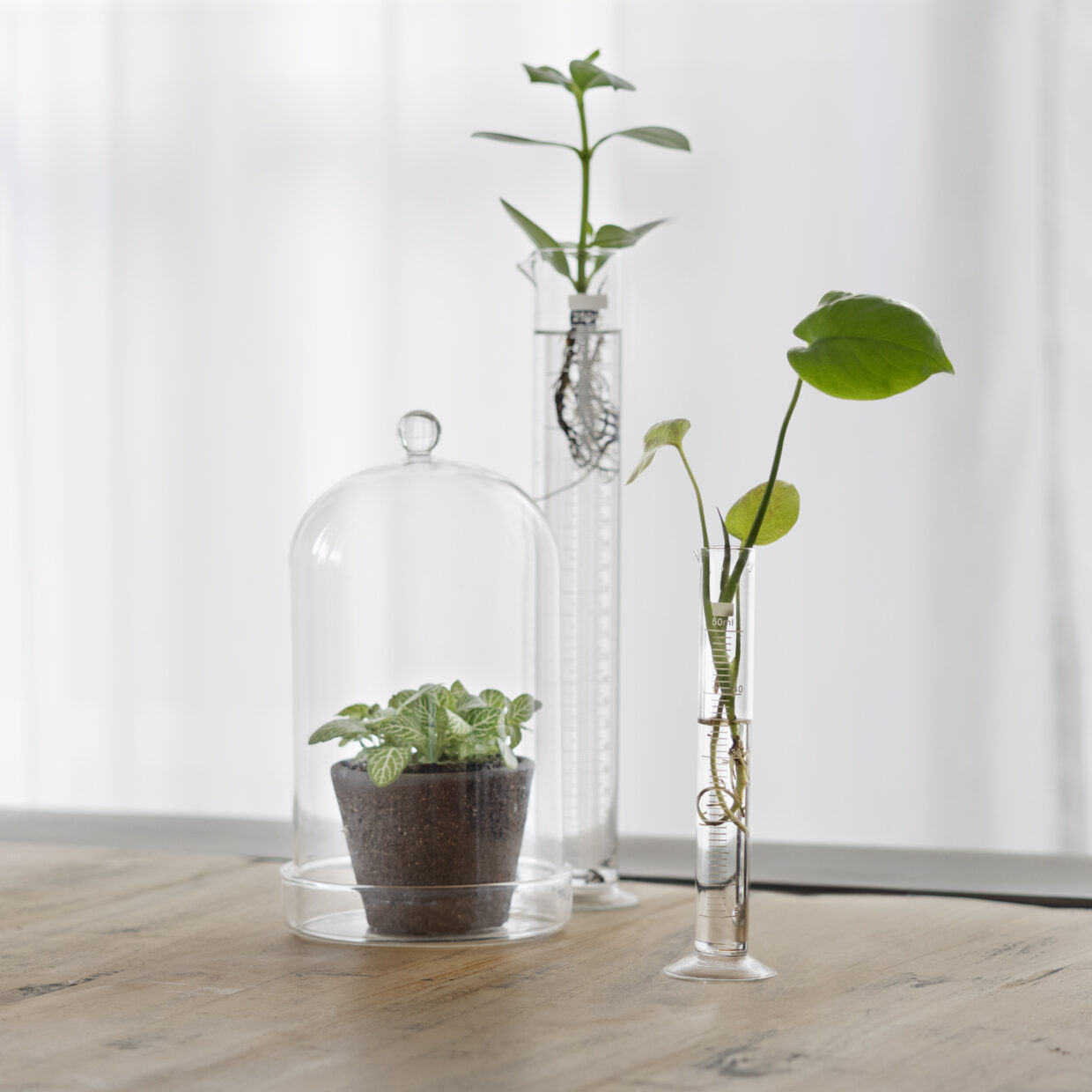 Esschert Design Maatcilinder Met Voet S