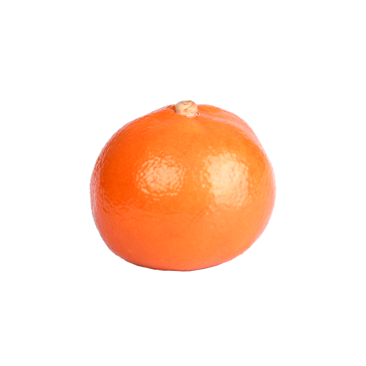 esschert design Mandarijn