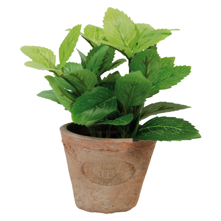 esschert design Munt in AT pot S