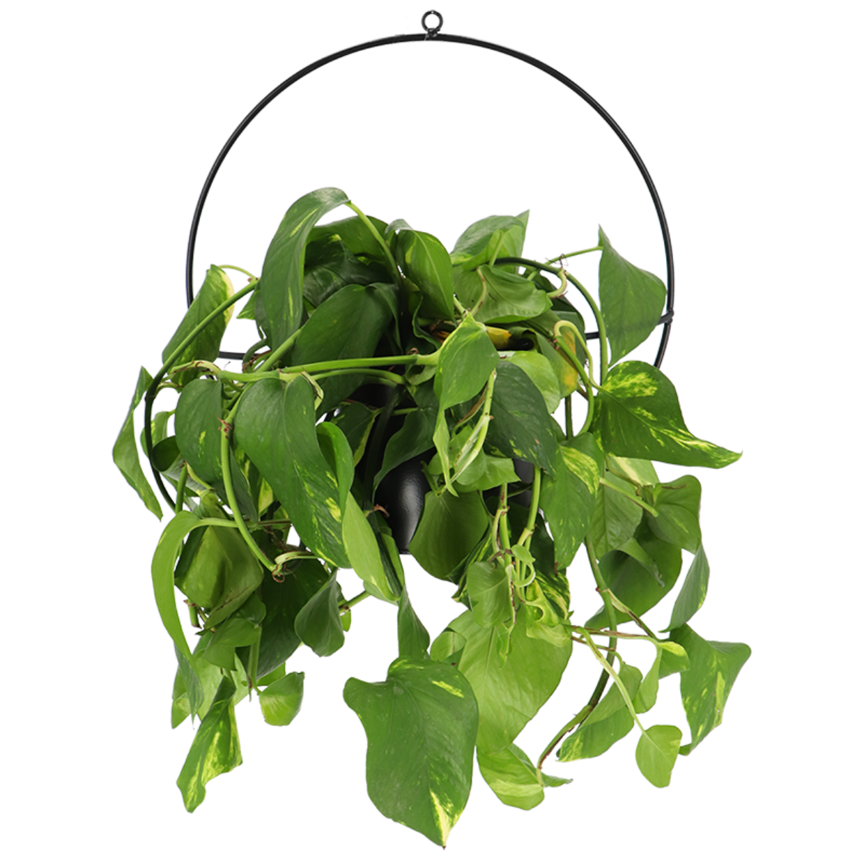 Esschert Design Muur Plantenbak