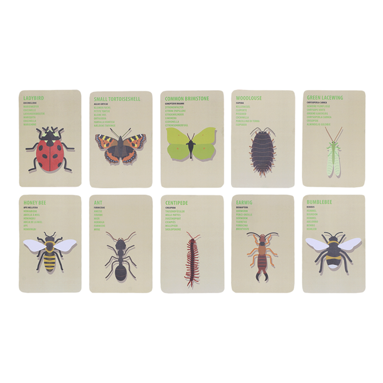 Esschert Design Ontdekkerstas Insecten