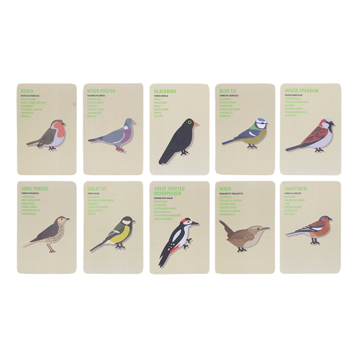 Esschert Design Ontdekkerstas Vogels