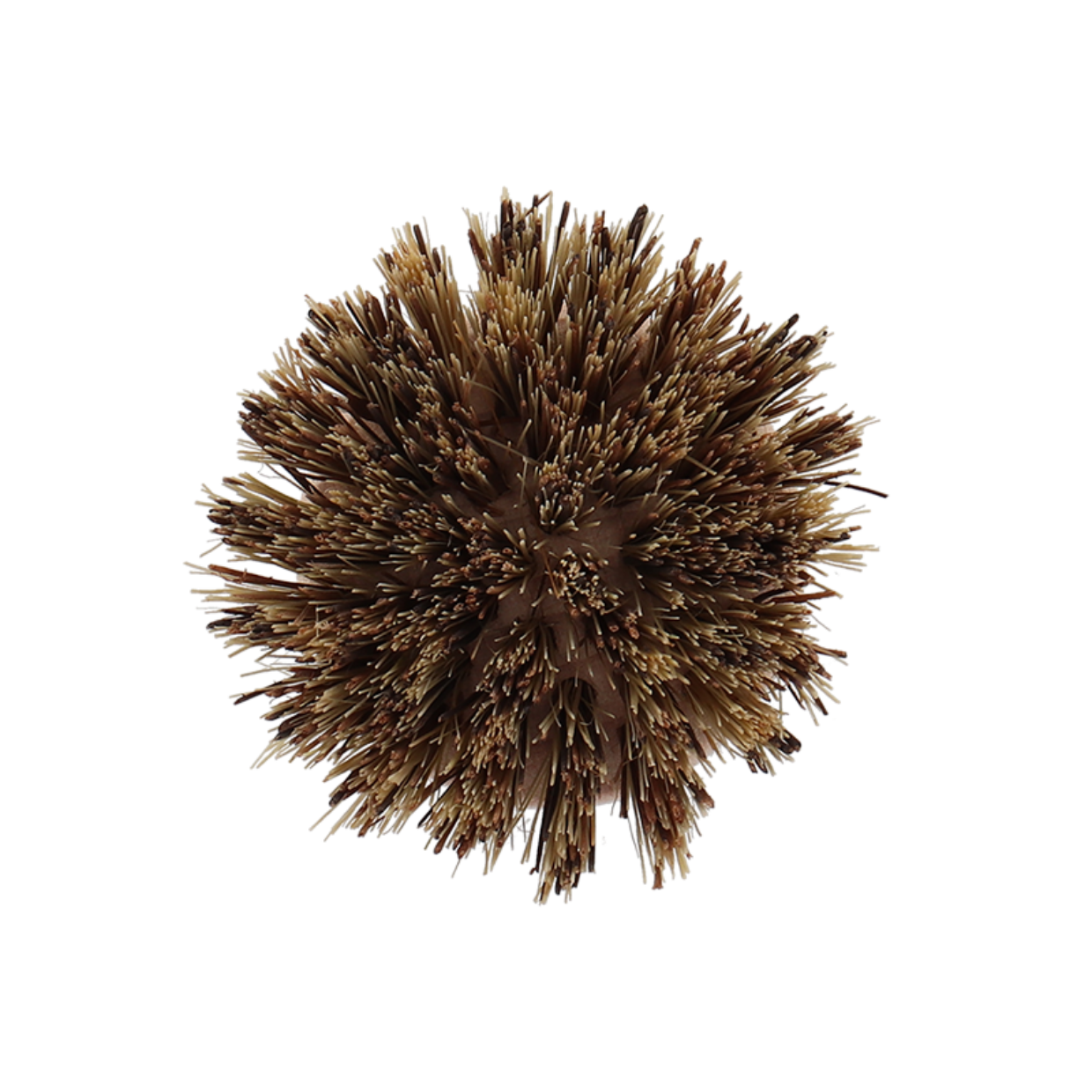 Esschert Design Pannenborstel