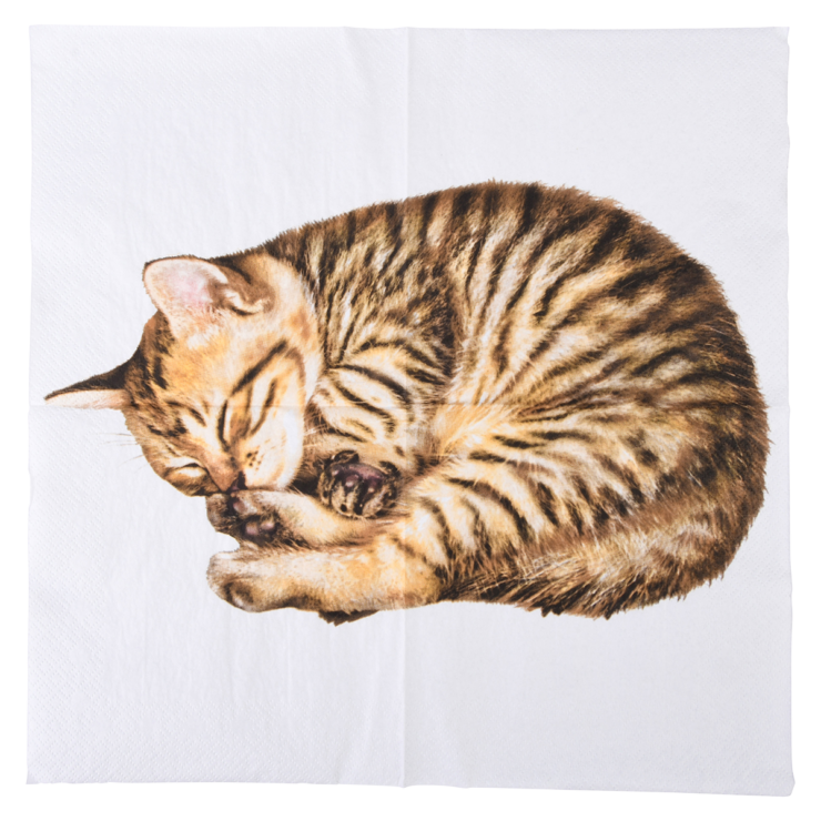 esschert design Papieren servetten kat 33x33cm