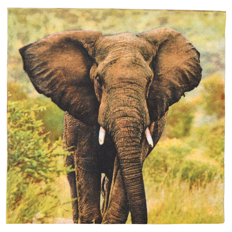 esschert design Papieren servetten olifant 33x33cm