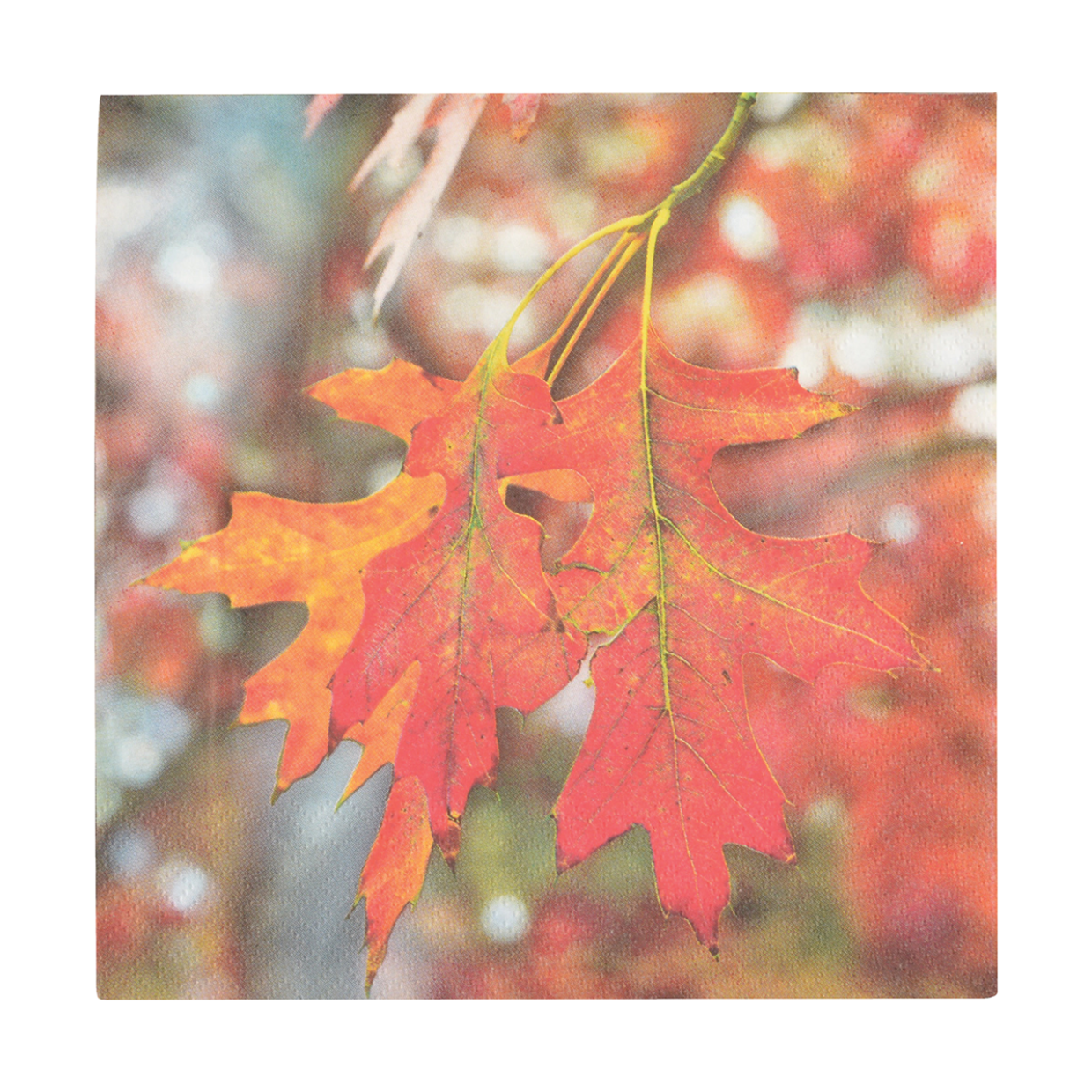 Esschert Design Papieren Servetten Paddestoel/blad