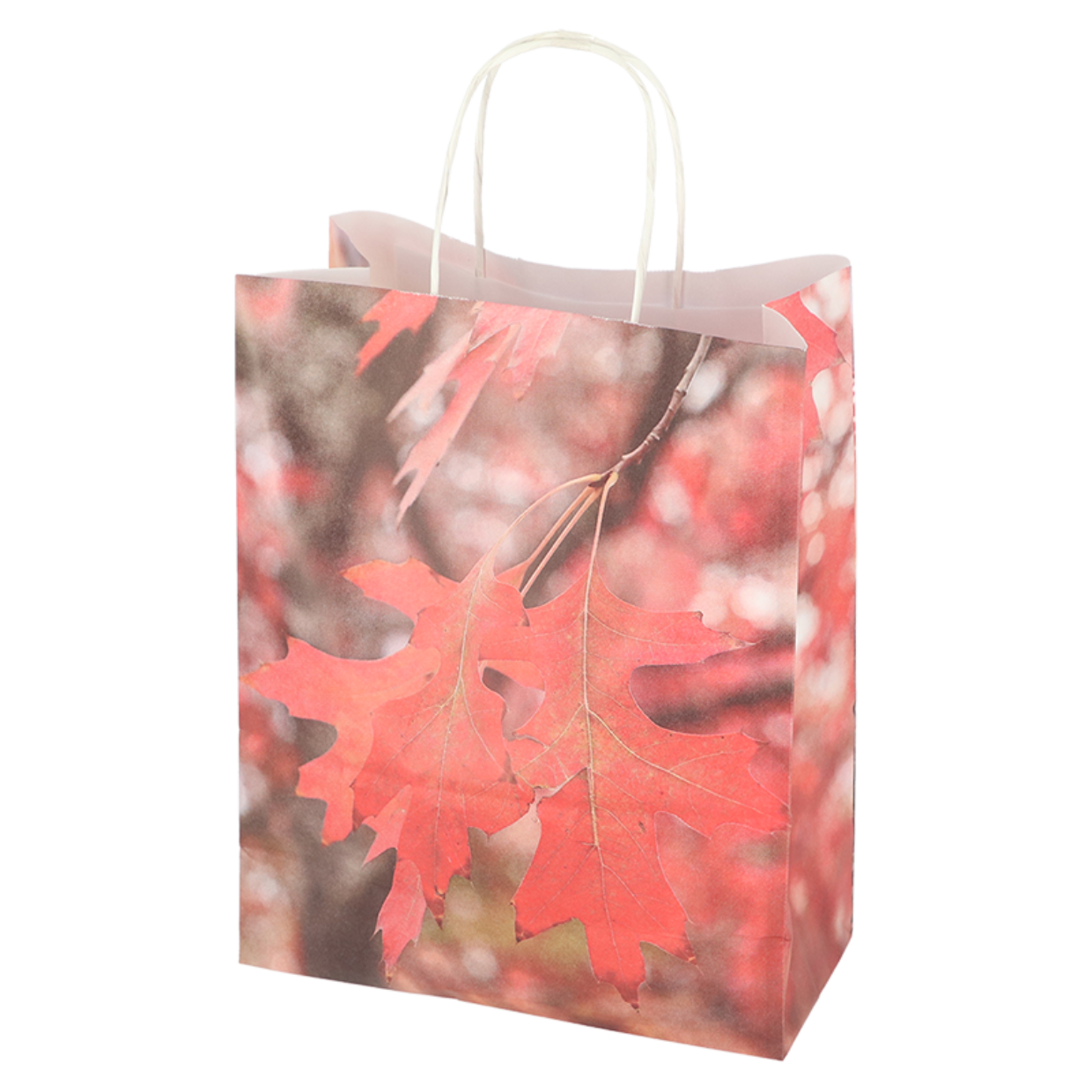 Esschert Design Papieren Tas Paddestoel/blad S