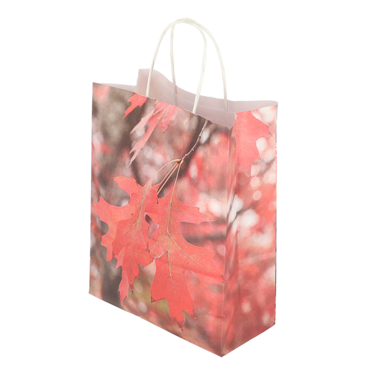 Esschert Design Papieren Tas Paddestoel/blad S