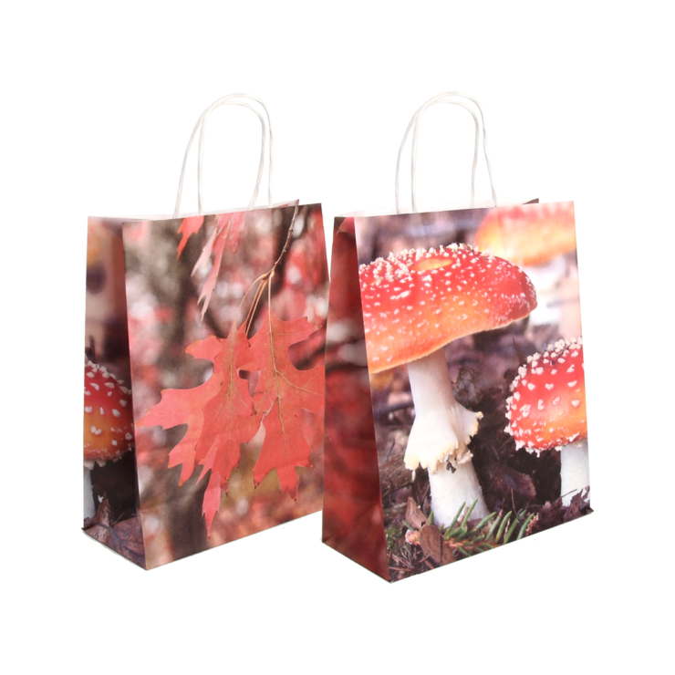 esschert design Papieren tas paddestoel/blad S