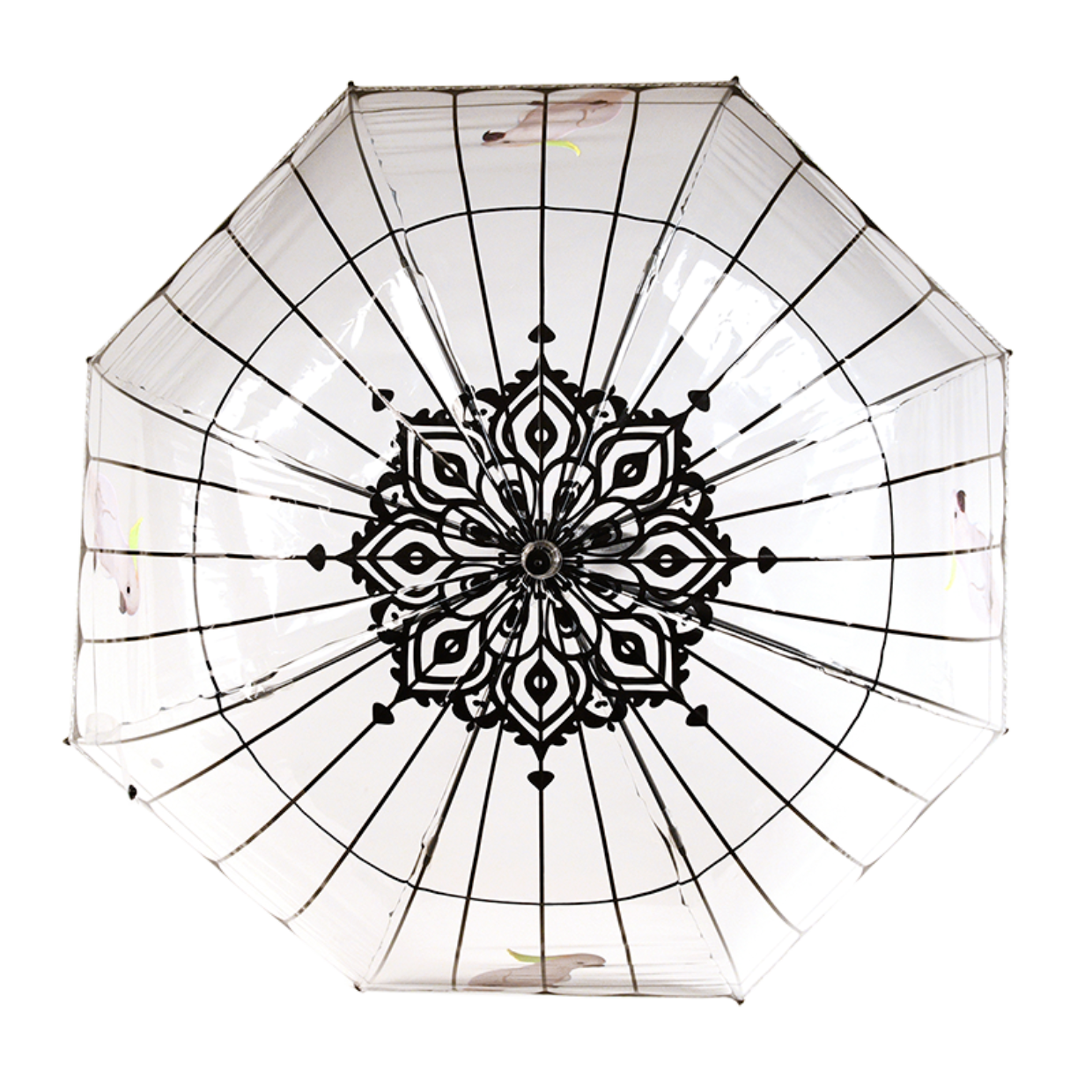 Esschert Design Paraplu Transparant Vogelkooi