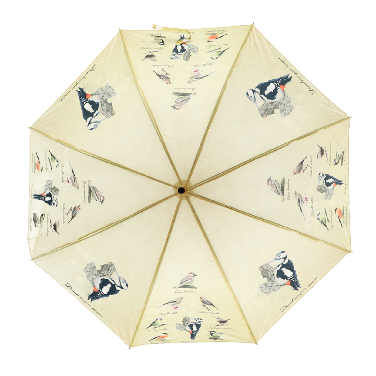 Esschert Design Paraplu Vogels