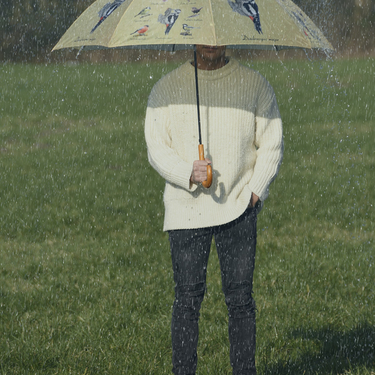 Esschert Design Paraplu Vogels