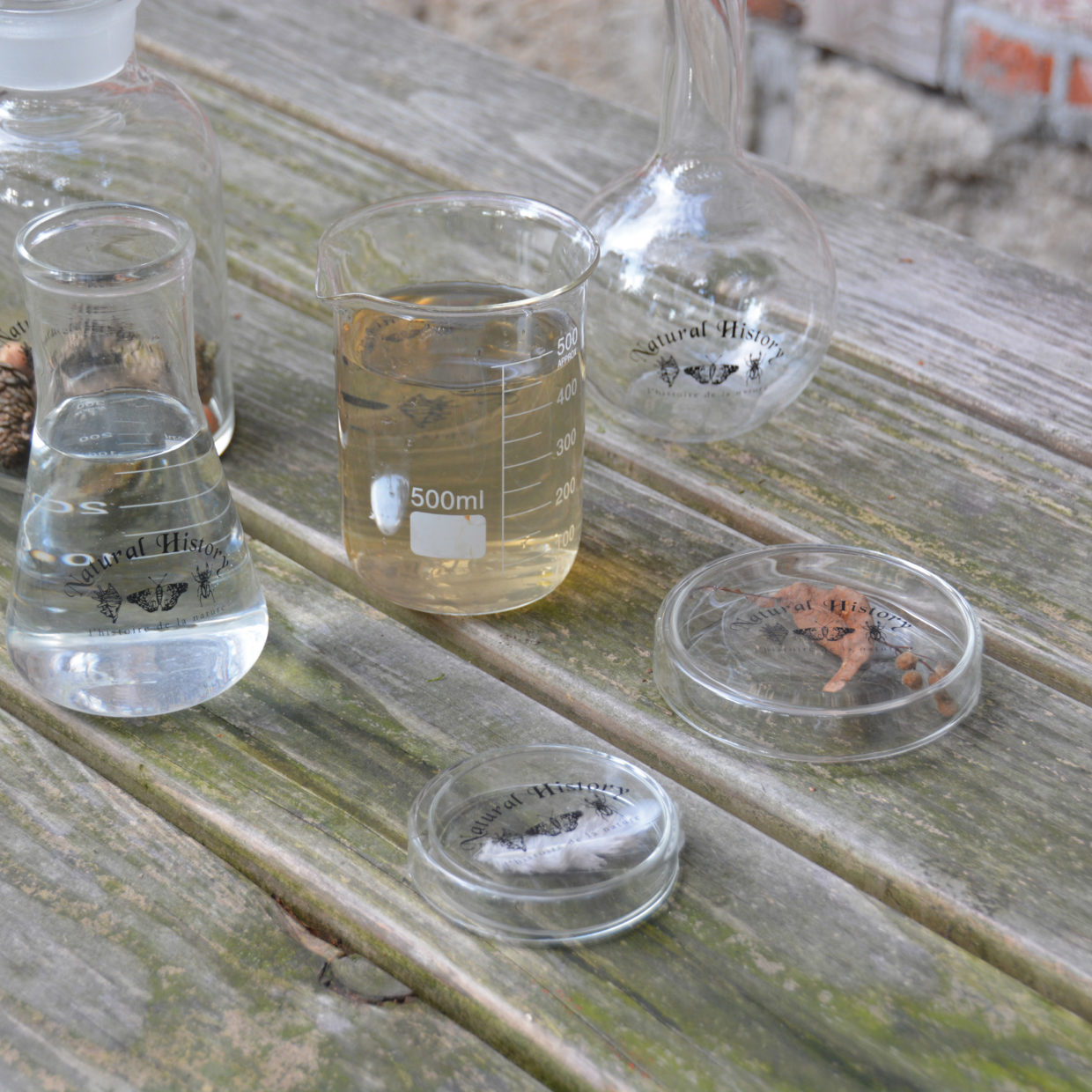 Esschert Design Petrischaal 120 Ml