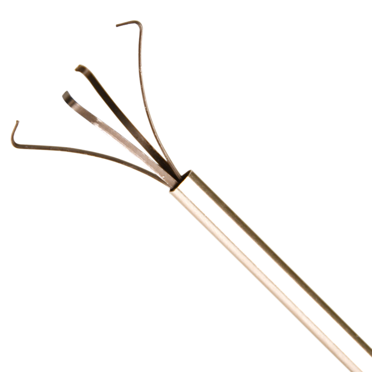 Esschert Design Plant Terrarium Klauwgrijper