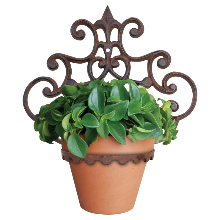 esschert design Plantenhanger 1 pot