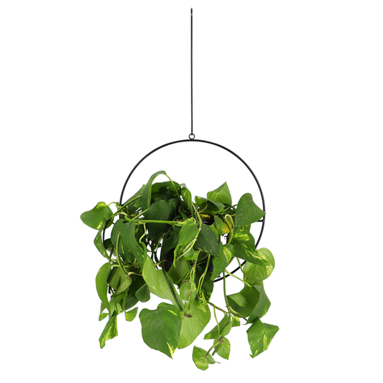 Esschert Design Plantenhanger