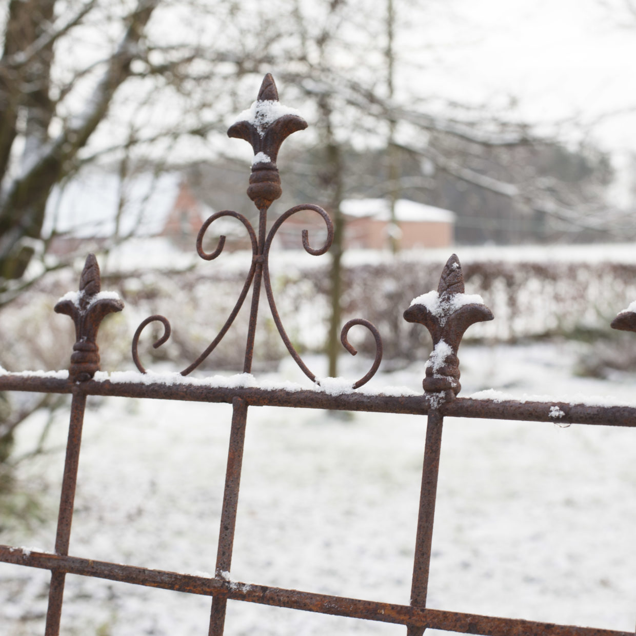 Esschert Design Plantensteun 2D Franse Lelie L