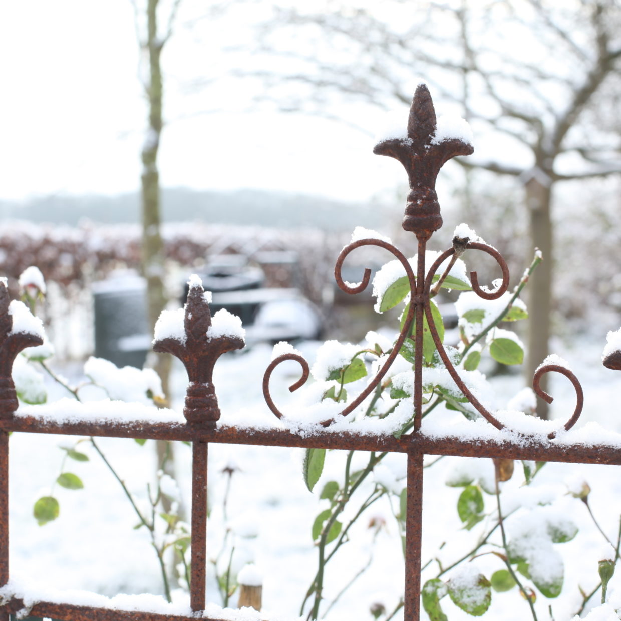 Esschert Design Plantensteun 2D Franse Lelie L