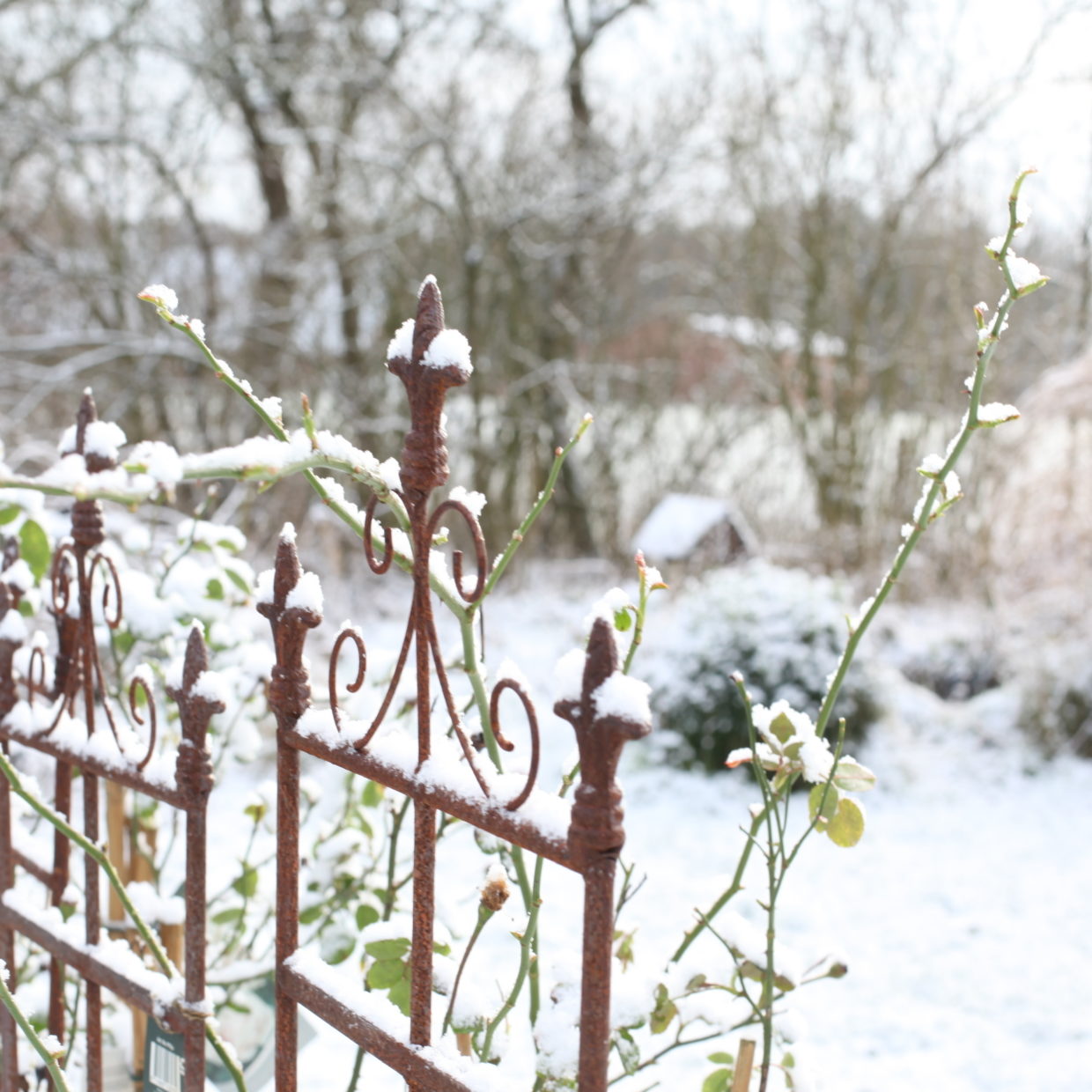 Esschert Design Plantensteun 2D Franse Lelie S