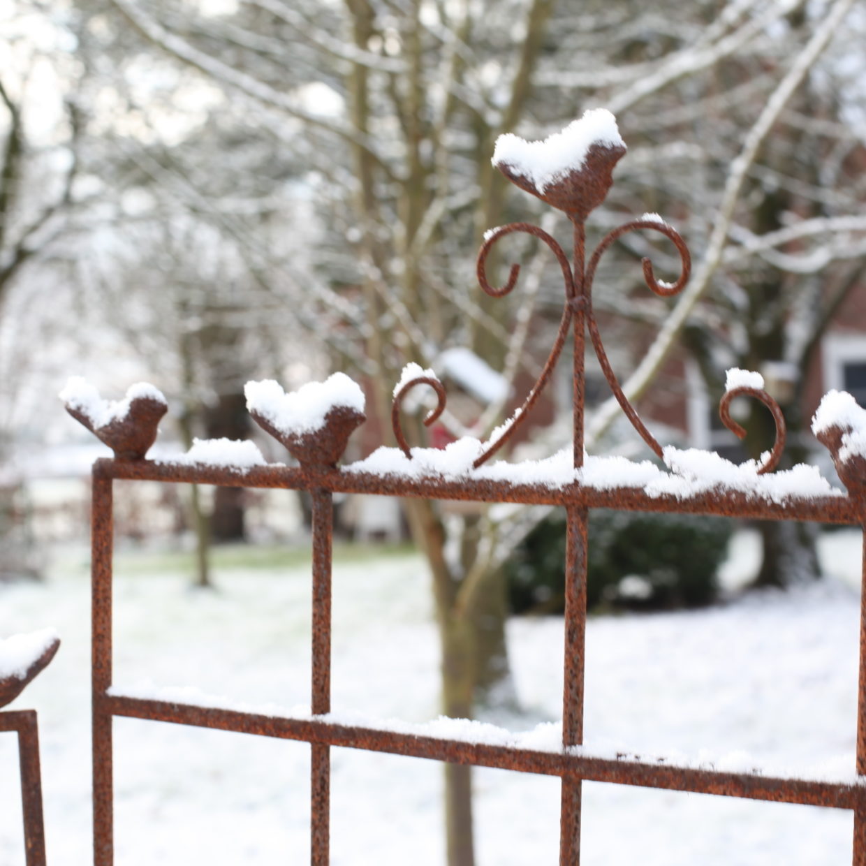 Esschert Design Plantensteun 2D Vogel L