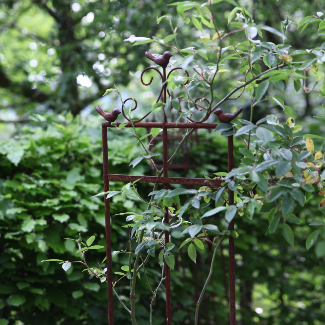 Esschert Design Plantensteun 2D Vogel S