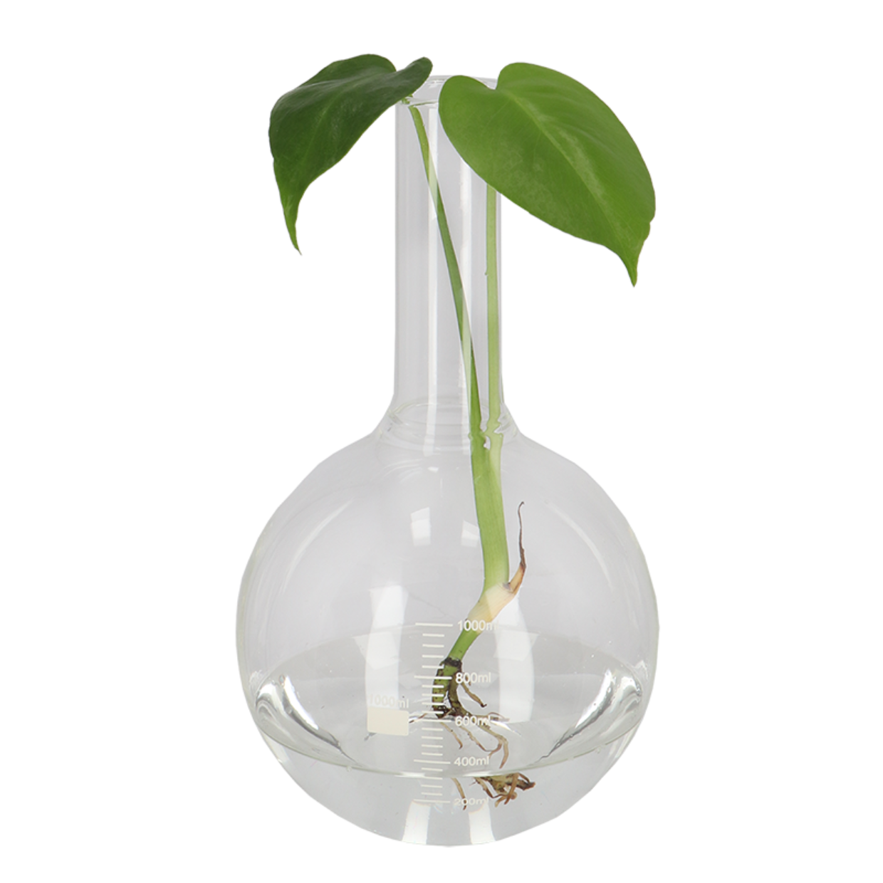 Esschert Design Platbodemkolf L