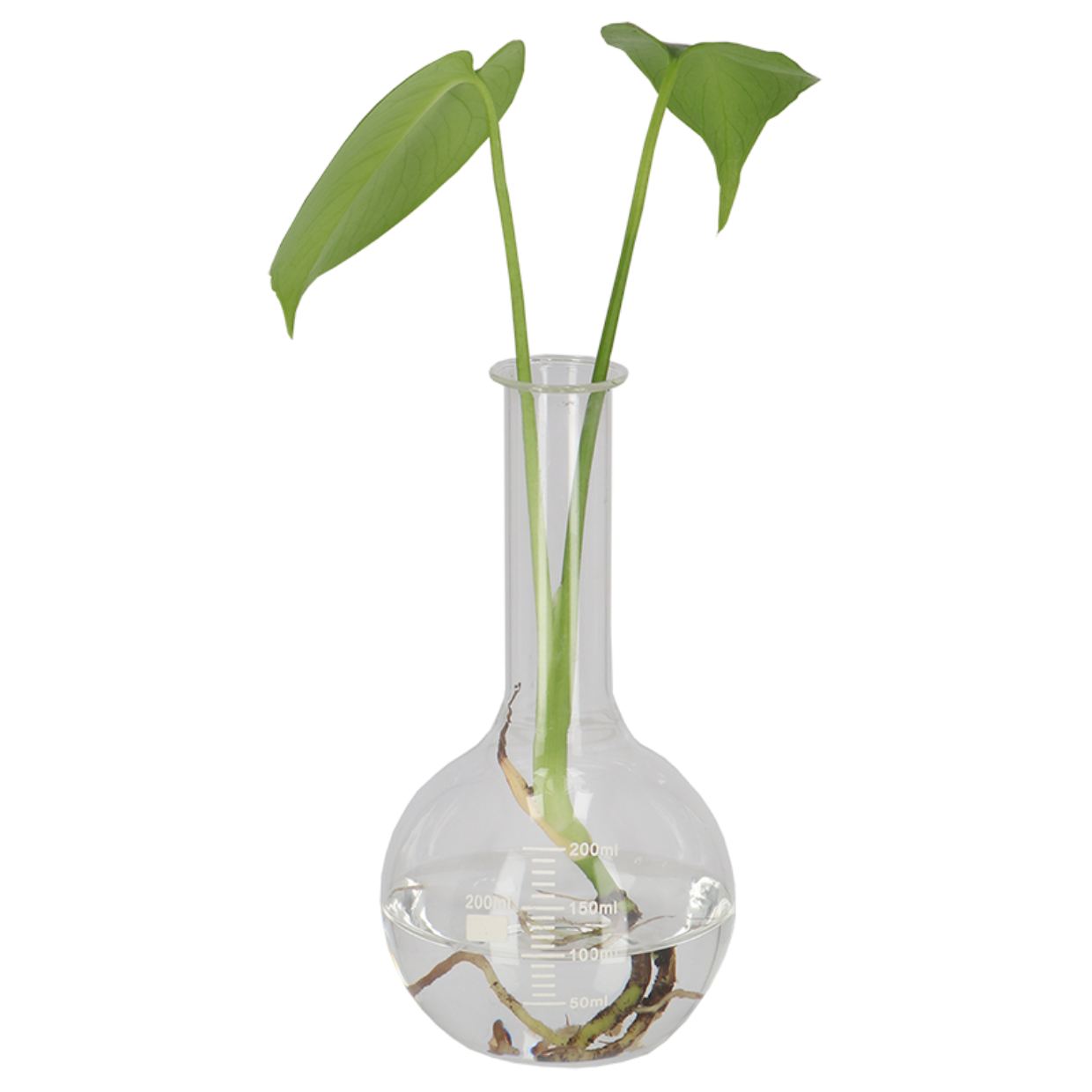 Esschert Design Platbodemkolf S