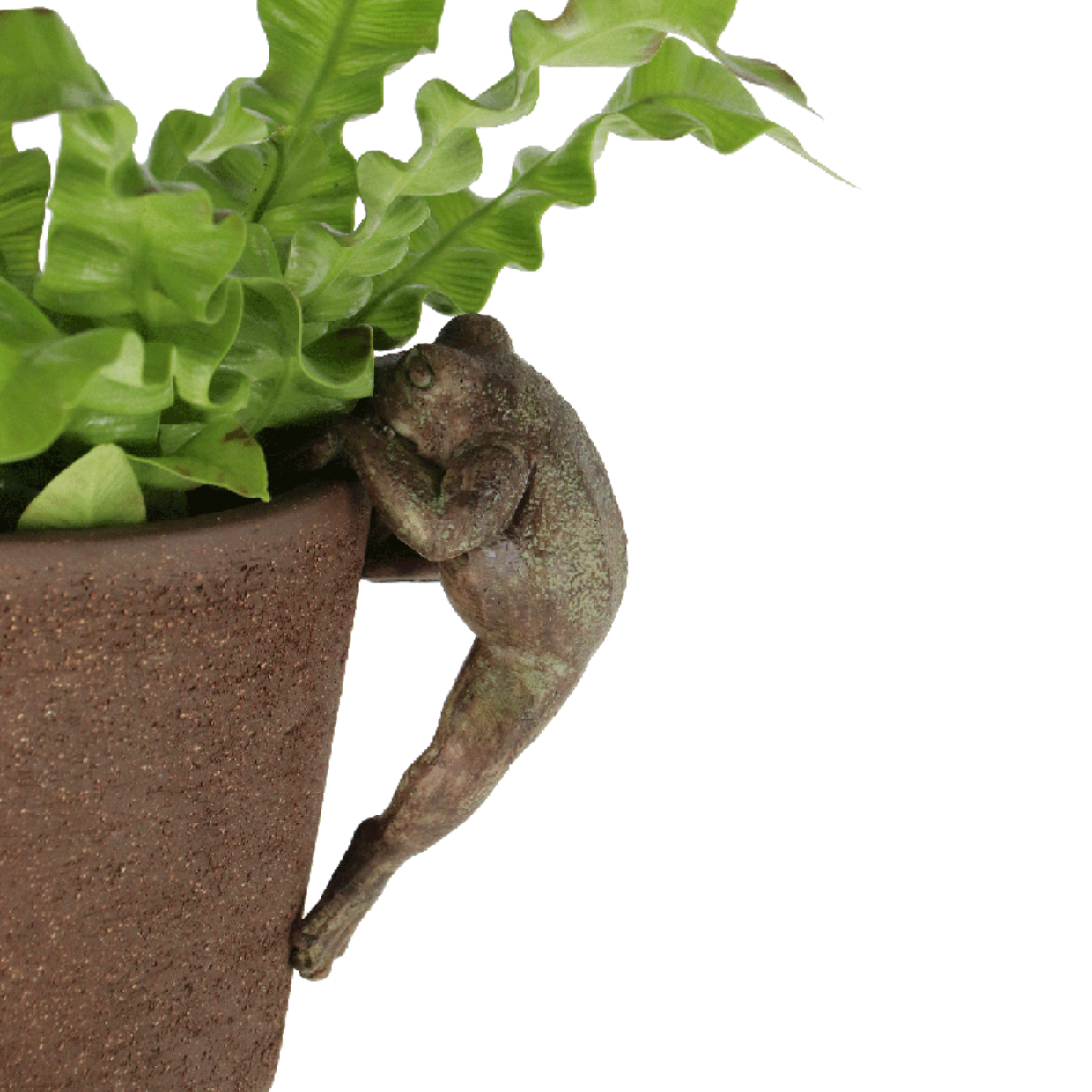 Esschert Design Pothanger Kikker