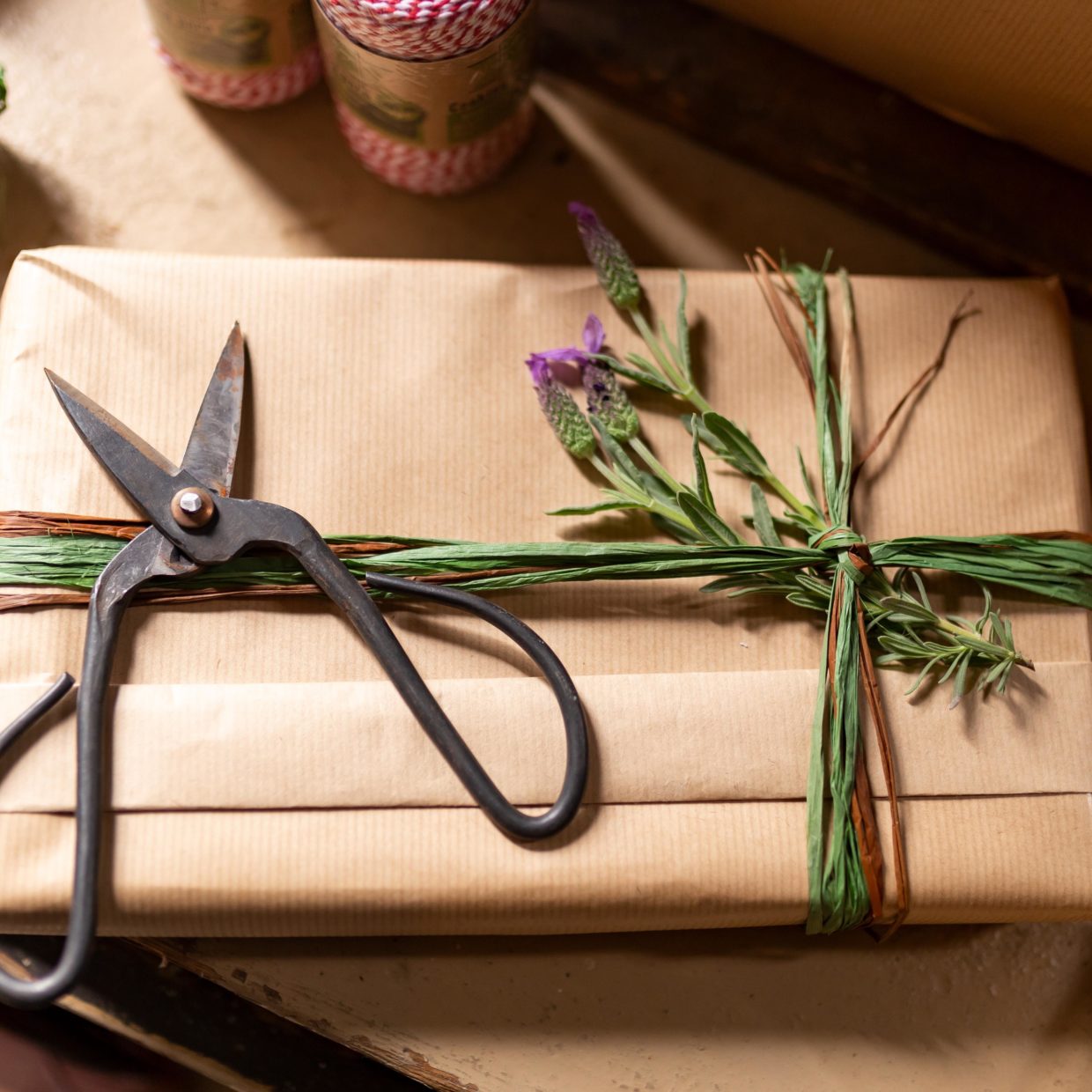 Esschert Design Raffia In 3 Kleuren