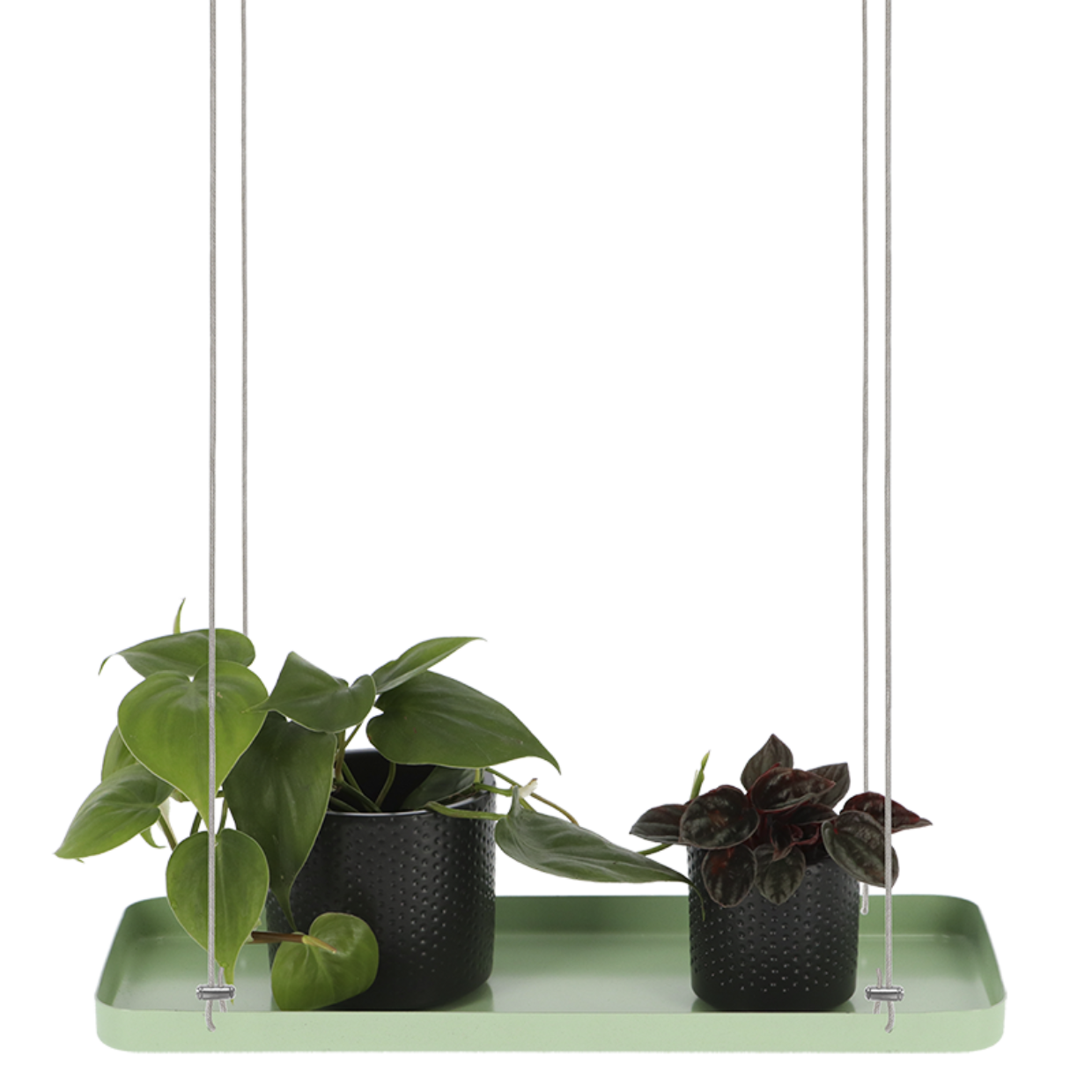 Esschert Design Rechthoekig Groen Plantenplateau S