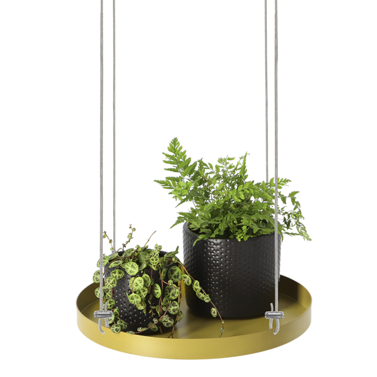 Esschert Design Rond Gouden Plantenplateau L